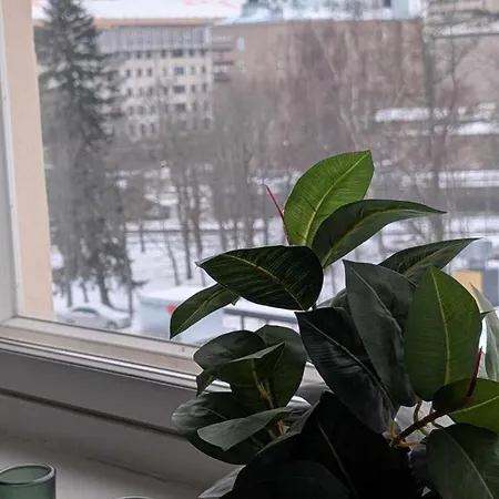 Voeyrinkadun Viihtyisae - Free Wifi And Parking Appartement Vaasa