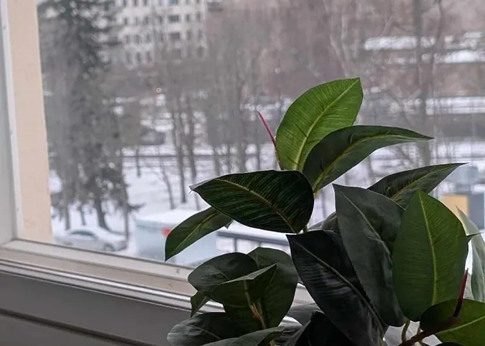 Voeyrinkadun Viihtyisae - Free Wifi And Parking アパート ヴァーサ